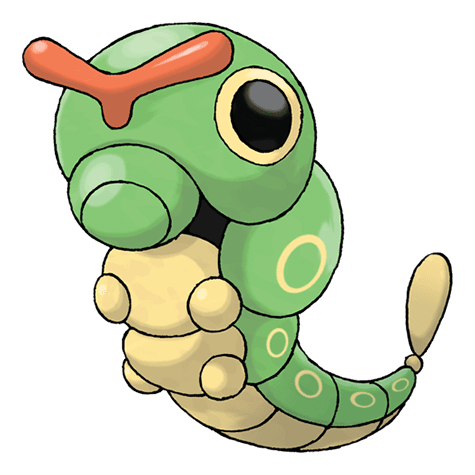 caterpie